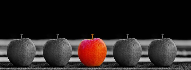 Comparar dos columnas en Excel y extraer lo que es igual